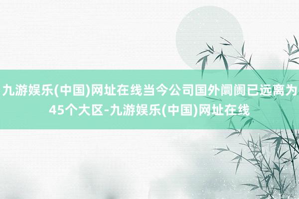 九游娱乐(中国)网址在线当今公司国外阛阓已远离为45个大区-九游娱乐(中国)网址在线