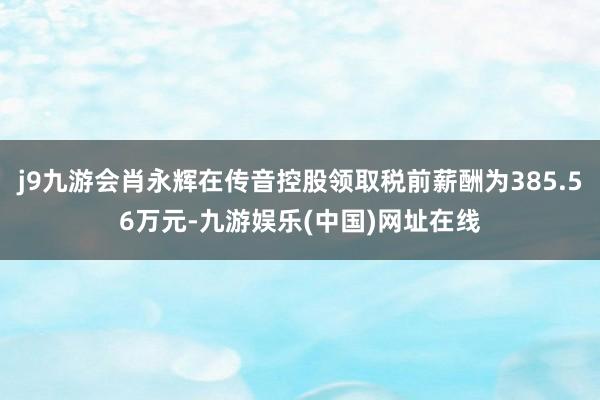 j9九游会肖永辉在传音控股领取税前薪酬为385.56万元-九游娱乐(中国)网址在线