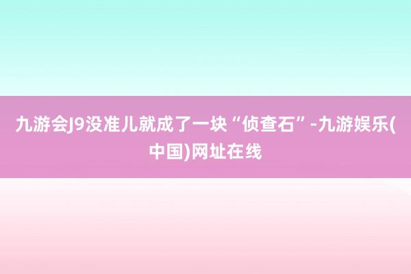 九游会J9没准儿就成了一块“侦查石”-九游娱乐(中国)网址在线