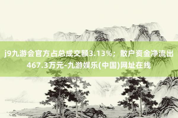 j9九游会官方占总成交额3.13%；散户资金净流出467.3万元-九游娱乐(中国)网址在线